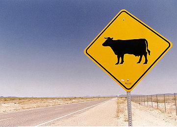 马斯克点赞反DEI游戏推文：没人想玩这些垃圾游戏